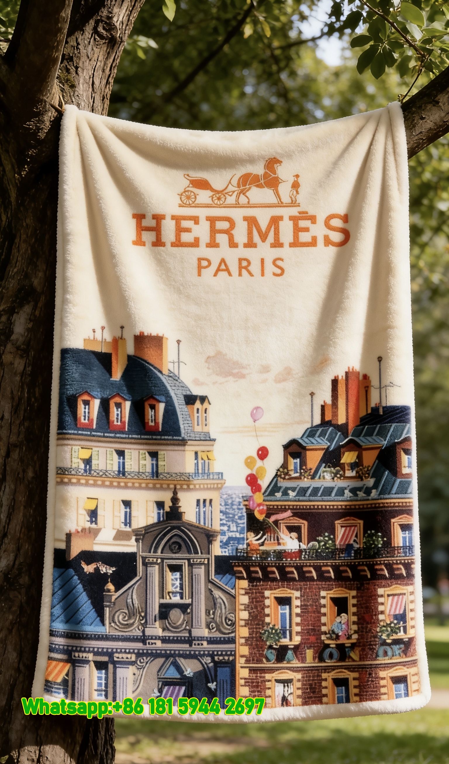 Luxury Hermès Paris Rooftop Scene Flannel Sofa Throw Blanket IMG_4924